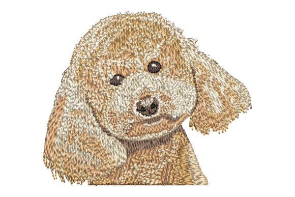 Apricot Poodle Embroidery Design Review