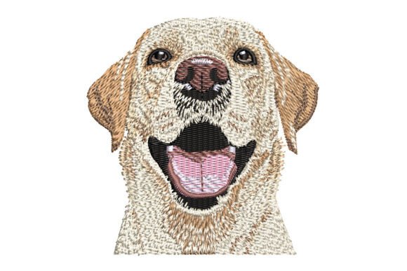 Labrador Retriever Smiling Yellow Lab